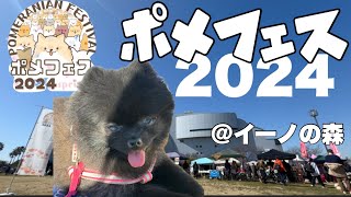 【vlog】今年も愛犬とポメフェス2024に行ってきた！【ポメラニアンフェスティバル｜イーノの森】