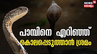 Kattakkadaയിൽ വീട്ടിൽ പാമ്പിനെ തുറന്നുവിട്ട് ഗൃഹനാഥനെ കൊലപ്പെടുത്താന്‍ ശ്രമം | Murder Attempt