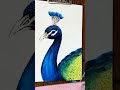 peacock drawing 🦚 with pastel colour art drawing shorts