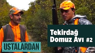 Tekirdağ Domuz Avı 2  2.Bölüm Ustalardan - Yaban Tv - Wildboar Hunting -  av videoları