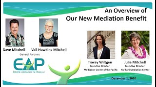 Mediation Benefit Overview