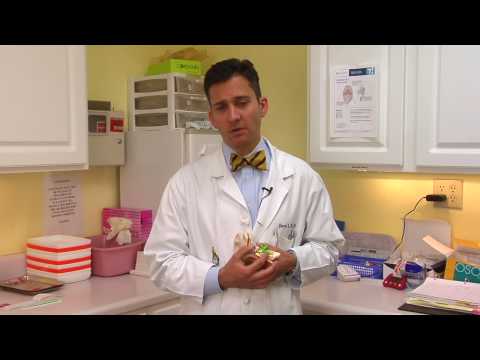 Ear Problems & Infections : How to Drain Inner Ear Infection Ear Problems & Infections : How to Drain Inner Ear Infection