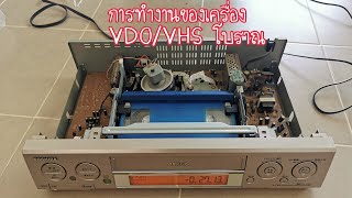 วีดีโอเทป VDO/VHS Videotape Cassette TOSHIBA A-F100 การทำงานของเครื่องเล่นวีดีโอ เครื่องเล่นวีดีโอ