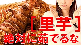 【最強の粘り】里芋の美味しい食べ方を教えます／やはたいも【バーベキュー研究所】