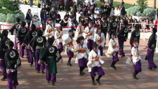 「早稲田大学よさこいチーム　東京花火」　よさこい甲子園