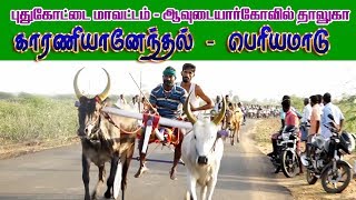 பெரியமாடு காரணியானேந்தல் 13.07.2019 periya maadu panthayam karaninenthal