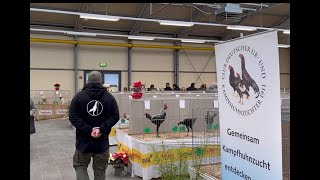 OH-Shamo explores the exhibition.There are many rare breeds to see !!!