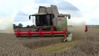 LEXÍK - 570  ŽNĚ/ HARVEST  -   2014