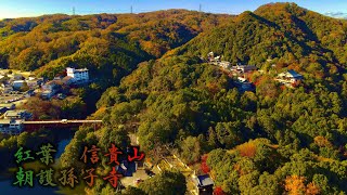 【ドローン空撮 4K】寅年 〜秋の信貴山〜 紅葉の季節 Japanese Temple Shrine Drone Dji Mavic Air2