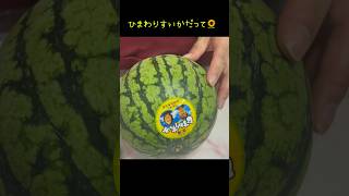 スイカ【夏の代表】🍉🌻西瓜食べると夏感じるよね✨スティックで食べやすい🫶#shorts #ズボラ主婦 #すいか#切り方