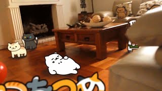 Real life ねこあつめ (neko atsume) Part 14.Rain + BONUS