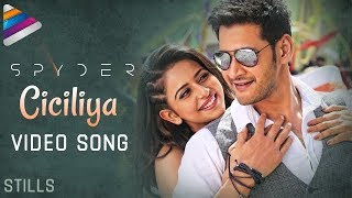 Spyder Telugu Movie | Ciciliya Video Song | Motion Teaser | Mahesh Babu | Rakul Preet | Fan Made
