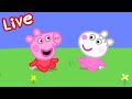 Peppa Pig Full Episodes 🌈 Peppa Pig STREAMING NOW 🌟 Kids Videos 🔴