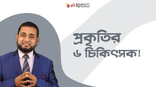 Introducing 6 Specialized Doctors from Nature | Razib Ahamed