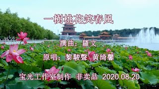 一樹桃花笑春風_音樂版