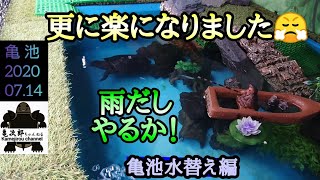 【クサガメ】亀池、更に楽になりました‼️😤マジで