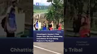 Chhattisgarh: Hasdeo Indigenous Tribal People Walk 300 Kms To Raipur