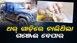 ଥର୍ ଗାଡ଼ିରେ ଚାଲିଥିଲା ଗଞ୍ଜେଇ ବେପାର | Odisha Reporter