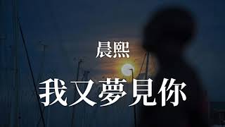 🎶🎶💓 我又夢見你 💓🎶🎶  演唱：晨熙