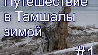 Путешествие в Тамшалы зимой