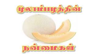 Benefits of Mulam pazham in Tamil (முலம் பழம் நன்மைகள்)