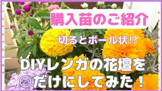 【ガーデニング】庭づくり　DIYレンガの花壇　初夏の植え付け　〇〇のお花ばかりで植え替え　初心者さんすぐできるおしゃれなお庭　ナチュラルガーデン風花壇　狭いお庭　摘芯　YouTube 庭づくり