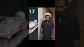 عوضين | #shorts #trending #youtubeshorts #shortvideo #youtube #ytshorts #short