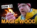 HOW TO FIND the MAGIC FIRESTARTER wood in a WET FOREST | Bushcraft Survival Skills