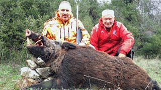 Κυνήγι Αγριόχοιρου: Τρία μεγάλα καπριά κι ένας «γάτος»!