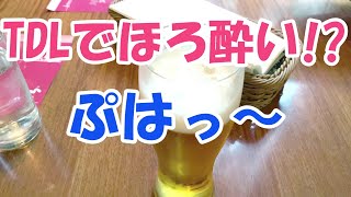 ＴＤＬでほろ酔い　イーストサイドカフェでランチ