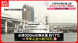 【珍しい現象】三陸沖の海水温が記録的な高さに　平年比約10度高い海域も