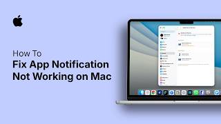 How to Fix App Notification Not Working on Mac