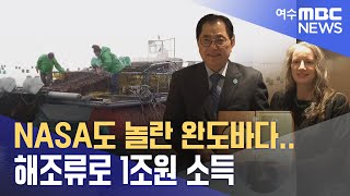 NASA도 놀란 완도바다..해조류로 1조원 소득  -R(231106월/뉴스데스크)