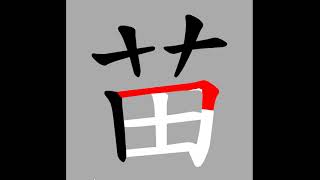 正體漢字，百家姓系列——苗，書寫筆順。苗圃苗僑偉的苗