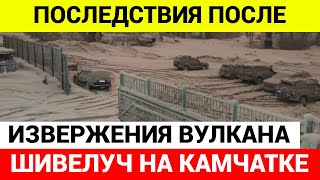 Последствия извержения вулкана Шивелуч