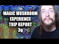 Magic Mushroom Experience | 3g Trip Report | My Insights