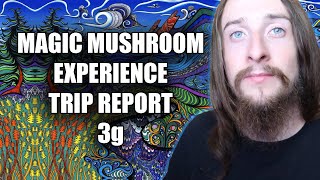 Magic Mushroom Experience | 3g Trip Report | My Insights