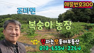 김천농지/김천토지/김천시 조마면 복숭아 농장 매매