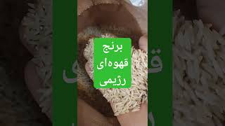 فروش برنج قهوه‌ای سبوسدار رژیمی مرغوب