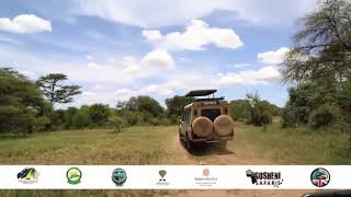 AMAIZING TANZANIA#safari(5)