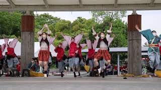 京炎そでふれ！京小町 「陽向」京都学生祭典 合同新歓 1演舞目