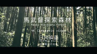 馬武督探索森林 4K手機拍攝｜Mautu Discovery Forest 4K Cinematic video