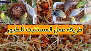 طريقه عمل المستنبت وفوائده للطيور