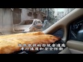 李嘉恩汽車道路駕駛教學教練開車上路fu系列之124 汽車道路考照活用學習技能之十二 有駕照不敢開上路學習課程3 街道中行駛的fu之二