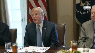 President Trump has Lunch with Members of Congress