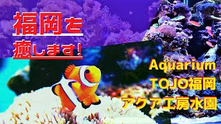 Aquarium TOJO 福岡