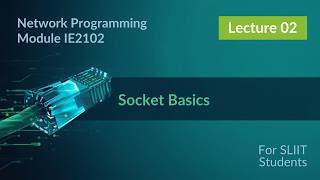 Socket Basics | Network Programming - Lecture 2 | SLIIT
