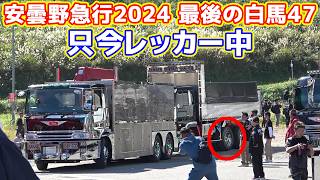 デコトラダンプがデコトラレッカー車にけん引される珍しいシーン 安曇野急行2024 最後の白馬47 名車紹介