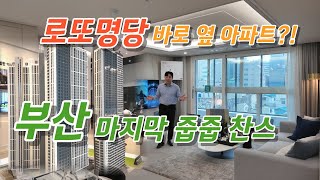 부산 최고 로또명당 바로 옆 아파트. 미분양 줍줍 하면 나도 로또?!