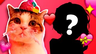 10 STREAMERS intentan conquistar a Capitan Gato